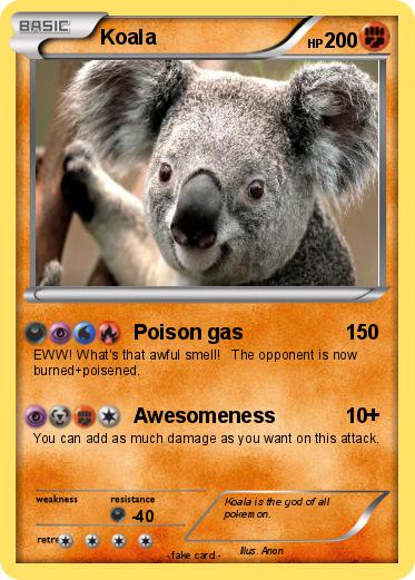 Pokemon Koala