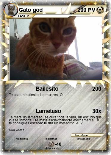 Pokemon Gato god