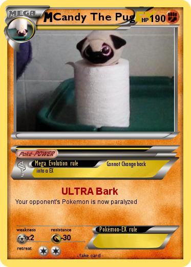 Pokemon Candy The Pug