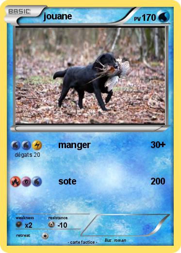Pokemon jouane
