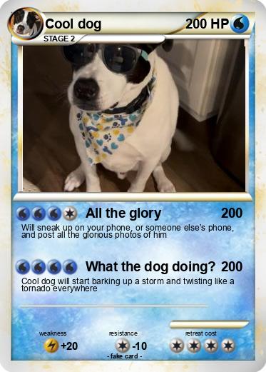 Pokemon Cool dog