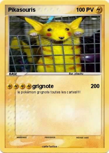 Pokemon Pikasouris