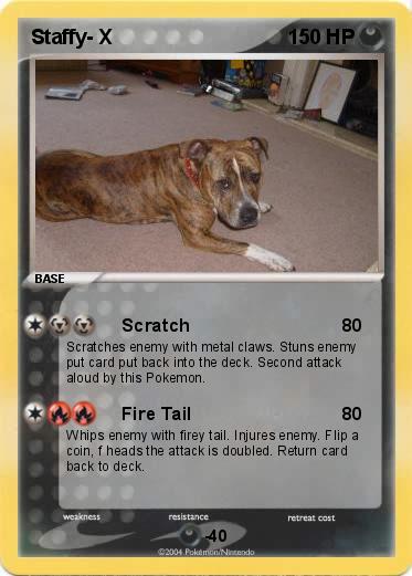 Pokemon Staffy- X