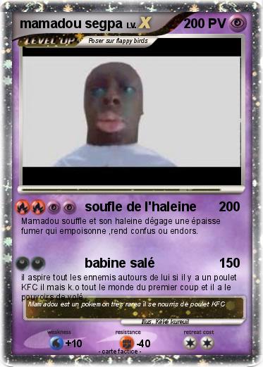 Pokemon mamadou segpa