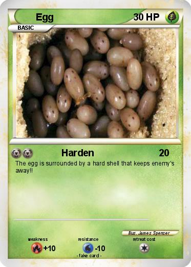 Pokemon Egg