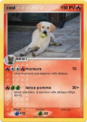 Pokemon cool