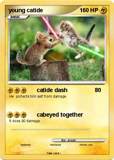 Pokemon young catide