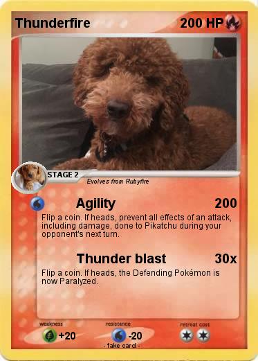 Pokemon Thunderfire