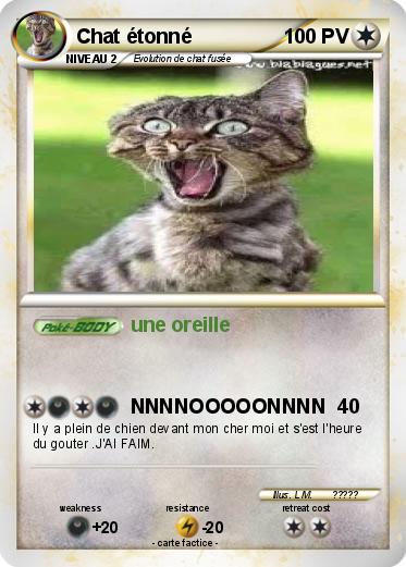 Pokemon Chat étonné