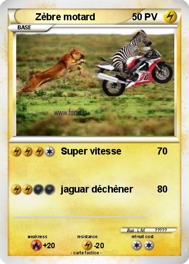 Pokemon Zèbre motard