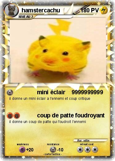 Pokemon hamstercachu