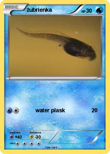 Pokemon žubrienka
