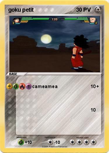 Pokemon goku petit