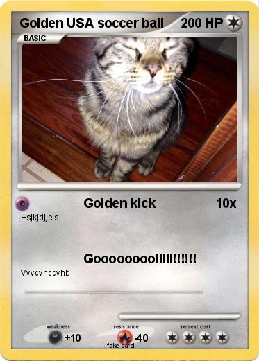 Pokemon Golden USA soccer ball