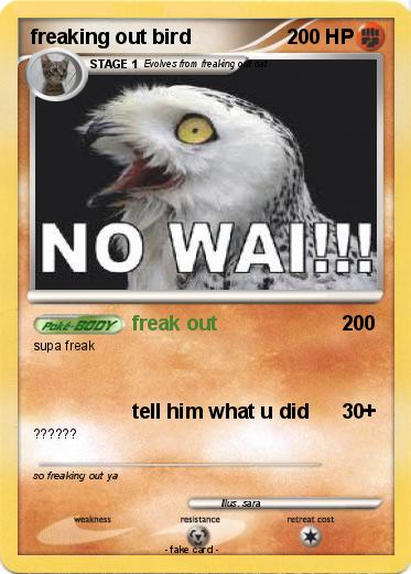 Pokemon freaking out bird