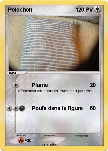 Pokemon Polochon