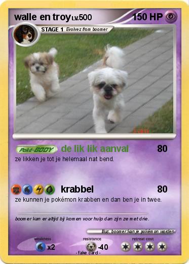 Pokemon walle en troy
