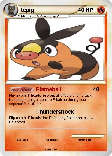Pokemon tepig