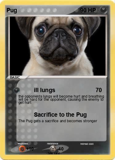 Pokemon Pug