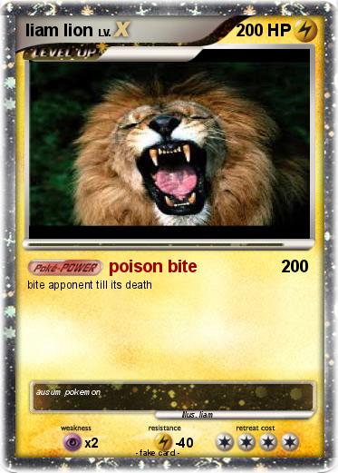 Pokemon liam lion