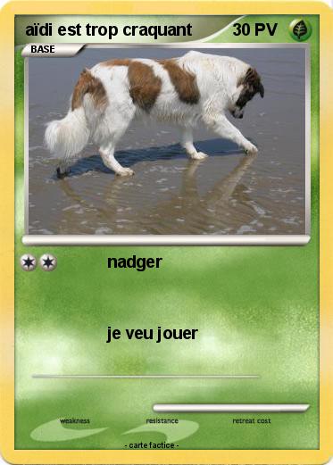 Pokemon aïdi est trop craquant