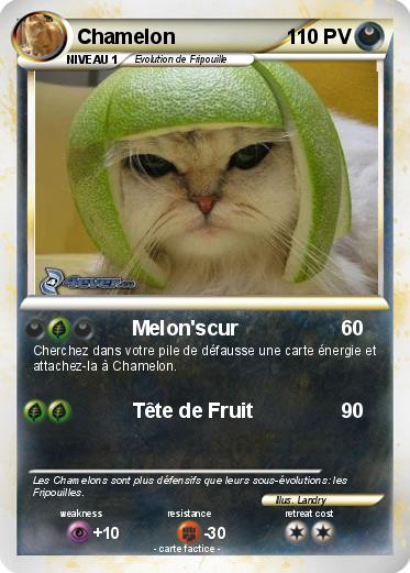 Pokemon Chamelon