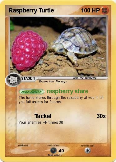 Pokemon Raspberry Turtle