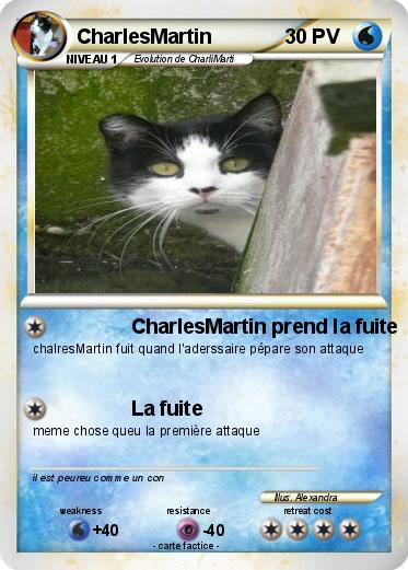 Pokemon CharlesMartin