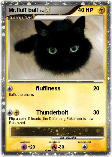 Pokemon Mr.fluff ball