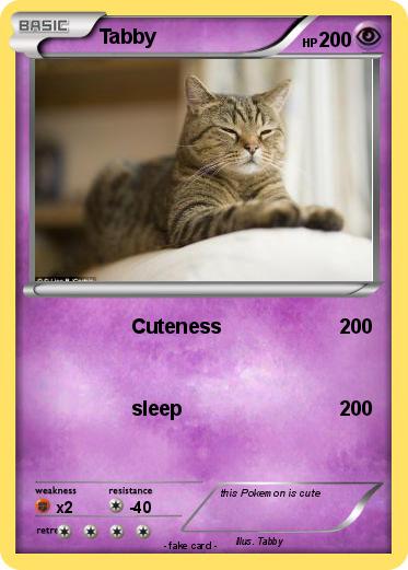Pokemon Tabby