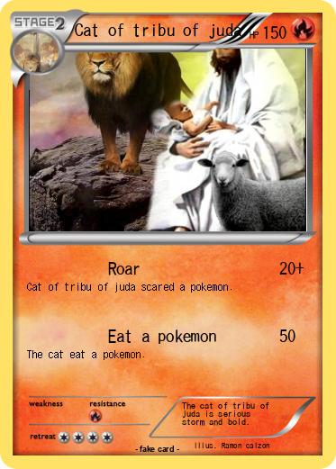 Pokemon Cat of tribu of juda