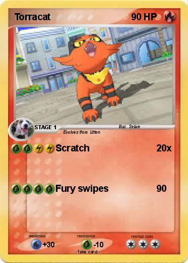 Pokemon Torracat