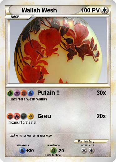 Pokemon Wallah Wesh