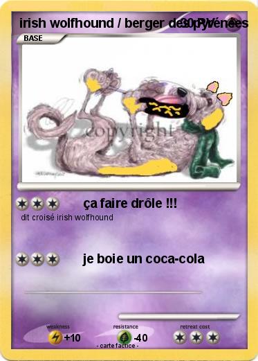 Pokemon irish wolfhound / berger des pyrénées