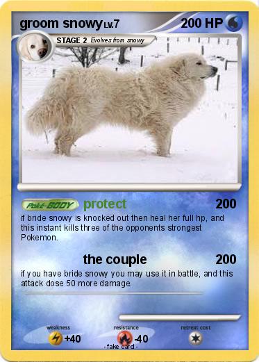 Pokemon groom snowy