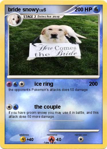 Pokemon bride snowy