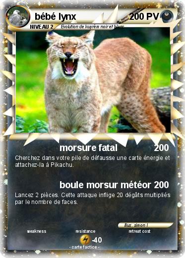 Pokemon bébé lynx
