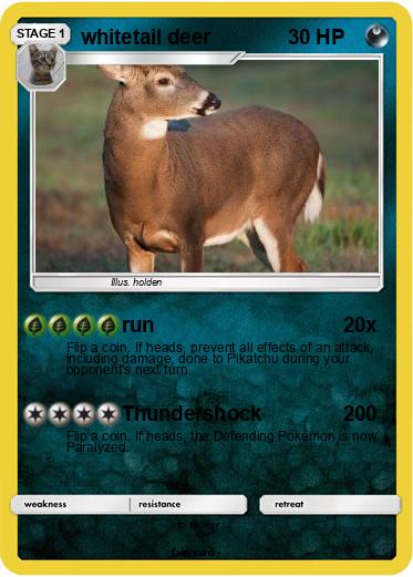 Pokemon whitetail deer