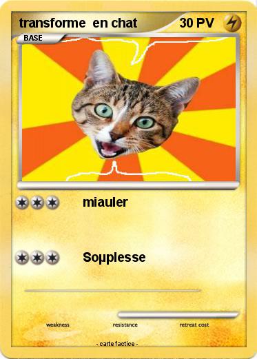 Pokemon transforme  en chat