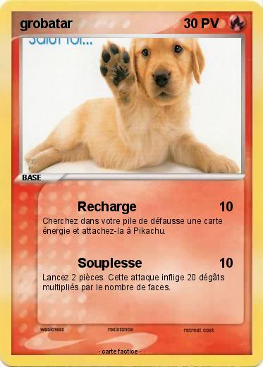 Pokemon grobatar