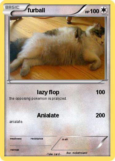 Pokemon furball