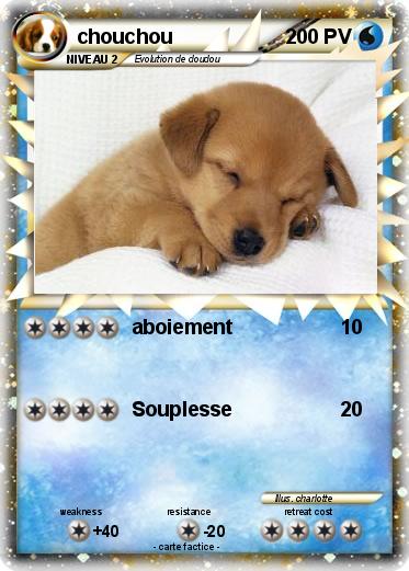 Pokemon chouchou