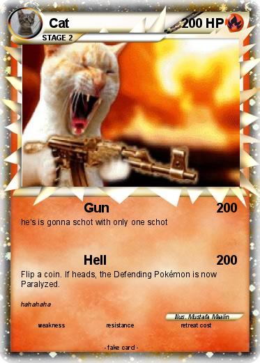 Pokemon Cat