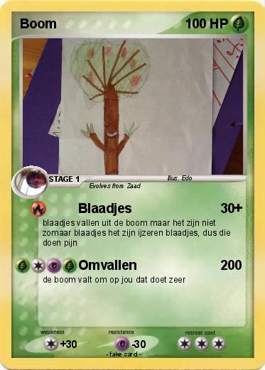 Pokemon Boom