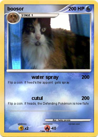 Pokemon boosor
