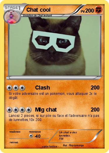 Pokemon Chat cool