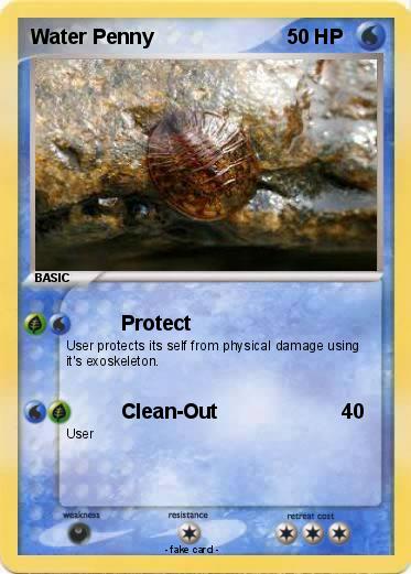 Pokemon Water Penny