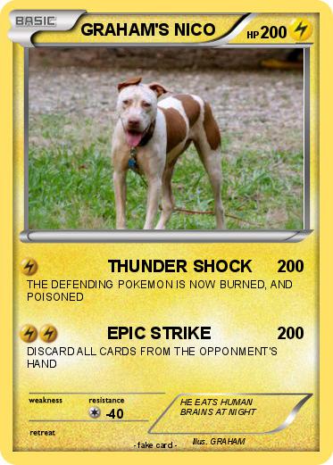 Pokemon GRAHAM'S NICO