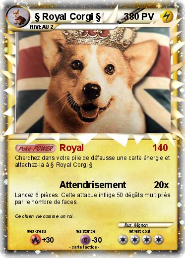 Pokemon § Royal Corgi §         3