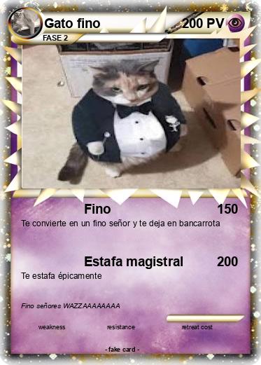 Pokemon Gato fino